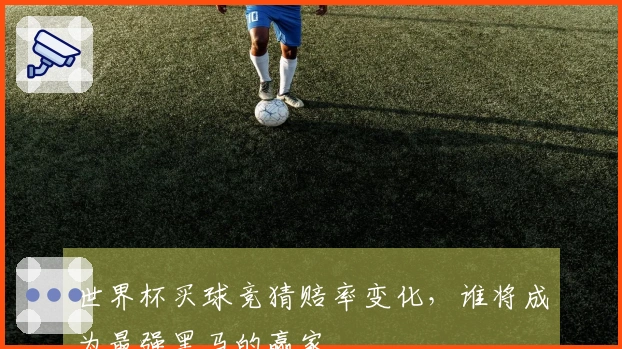 世界杯买球竞猜赔率变化，谁将成为最强黑马的赢家