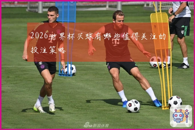 2026世界杯买球有哪些值得关注的投注策略