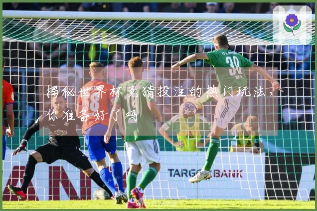 揭秘世界杯竞猜投注的热门玩法，你准备好了吗