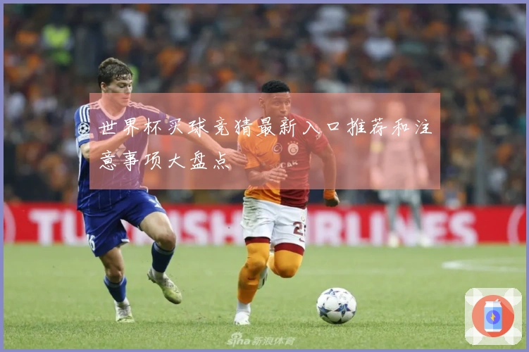 世界杯买球竞猜最新入口推荐和注意事项大盘点