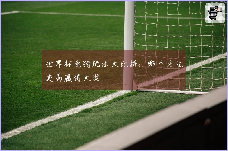 世界杯竞猜玩法大比拼，哪个方法更易赢得大奖