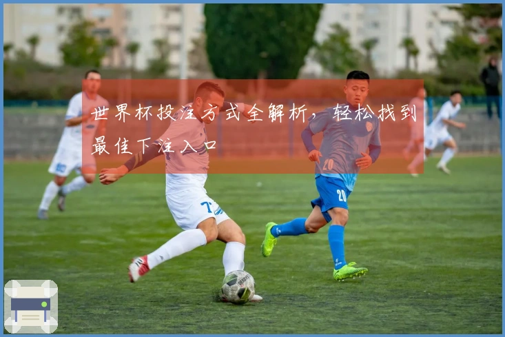 世界杯投注方式全解析，轻松找到最佳下注入口