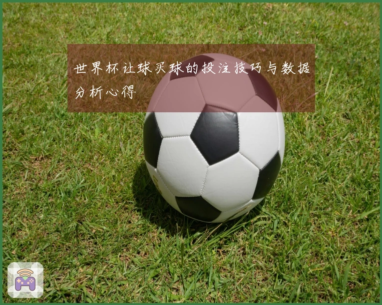 世界杯让球买球的投注技巧与数据分析心得