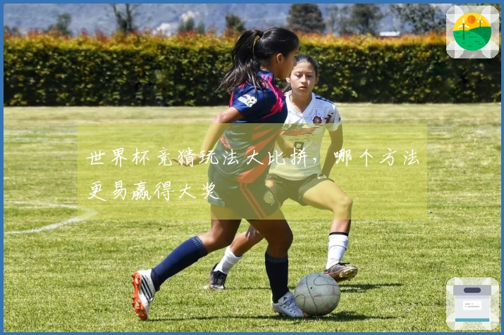 世界杯竞猜玩法大比拼，哪个方法更易赢得大奖