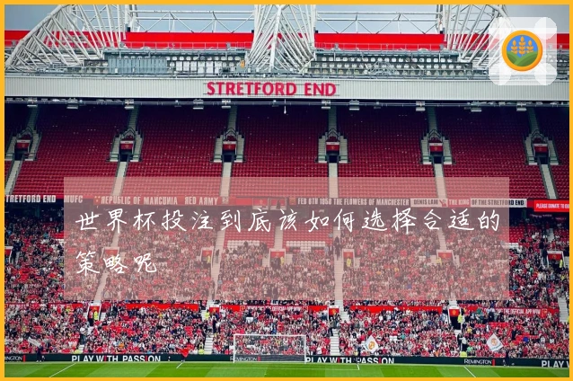 世界杯投注到底该如何选择合适的策略呢