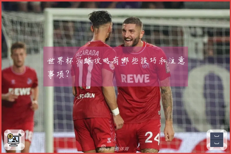 世界杯买球攻略有哪些技巧和注意事项？