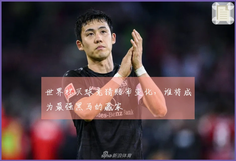 世界杯买球竞猜赔率变化，谁将成为最强黑马的赢家